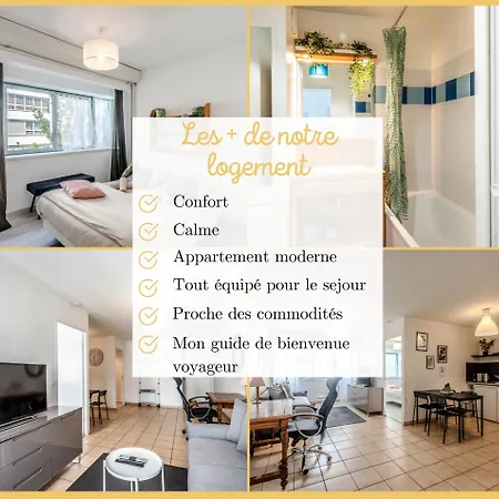 Confortable T2 I Annemasse Exterior photo